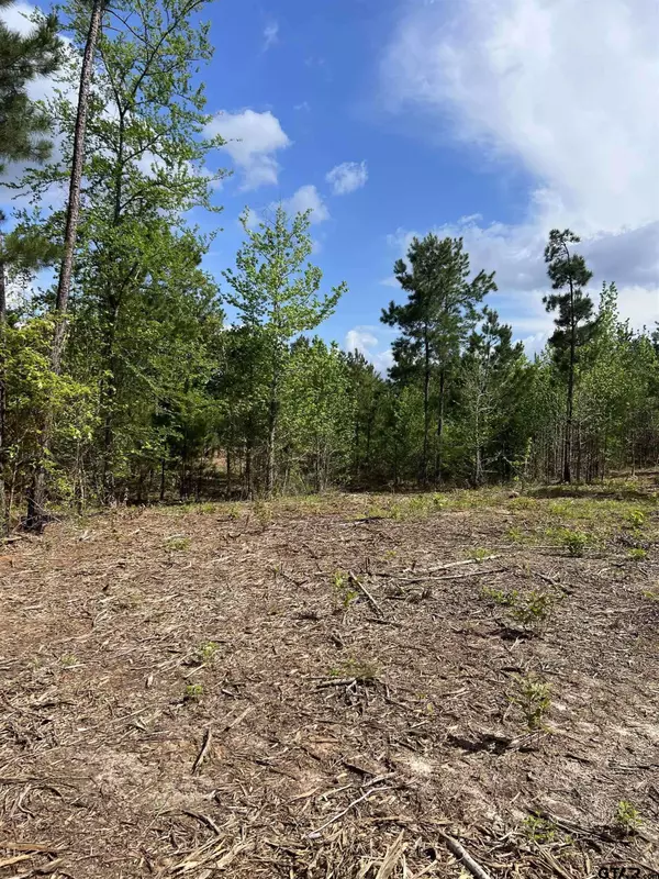 17598 CR 26, Tyler, TX 75707