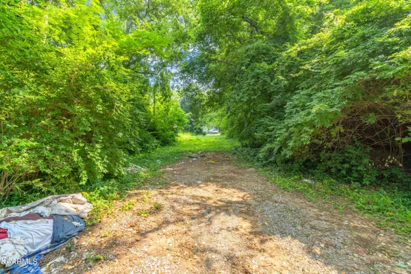 319 S Elmwood St, Knoxville, TN 37914