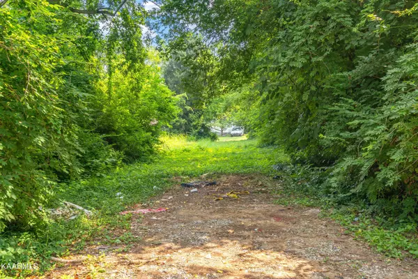 319 S Elmwood St, Knoxville, TN 37914