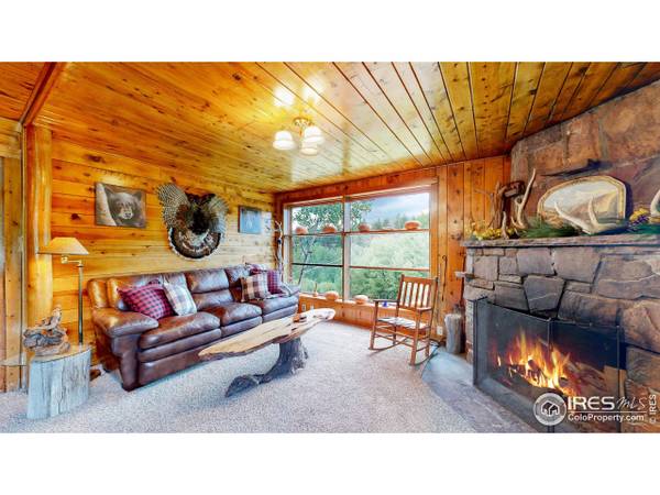 190 Clarabell Ln, Allenspark, CO 80510