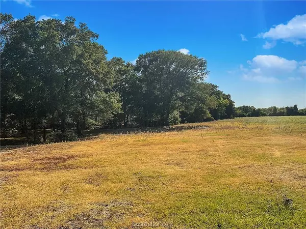 TBD Knox AVE, Dime Box, TX 77853