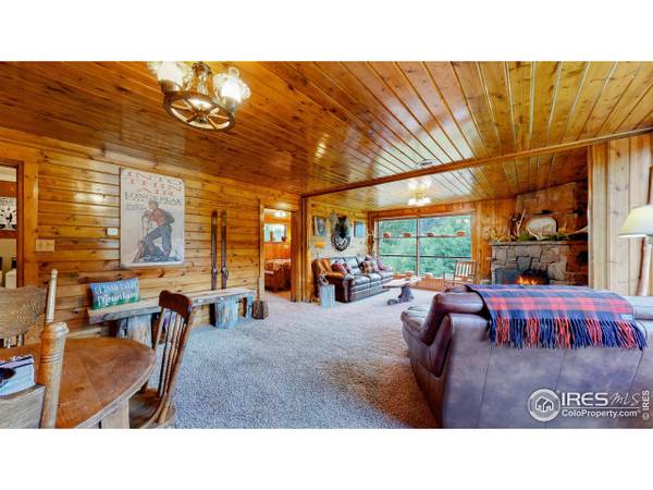 190 Clarabell Ln, Allenspark, CO 80510