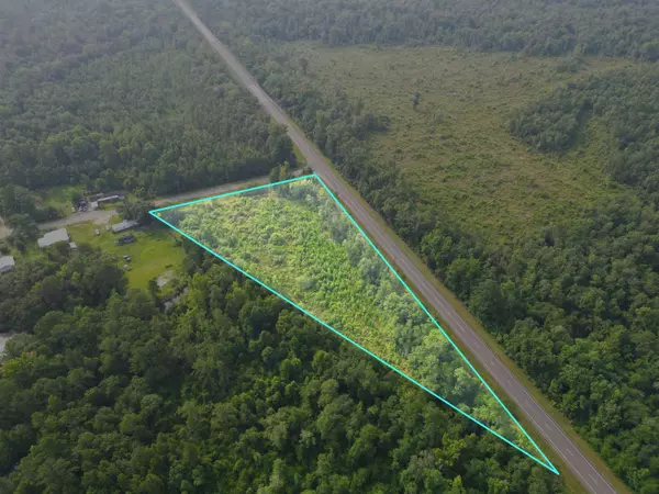 TBD NW Turkey Creek Road, Bristol, FL 32321