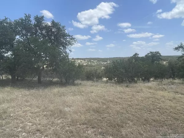 11464 CR310, Rocksprings, TX 78880
