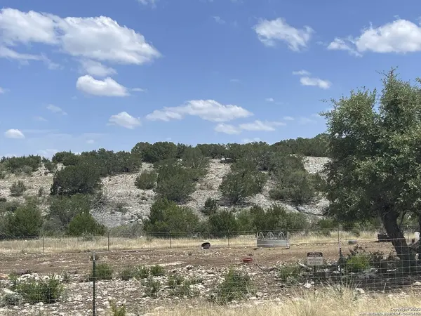 11464 CR310, Rocksprings, TX 78880