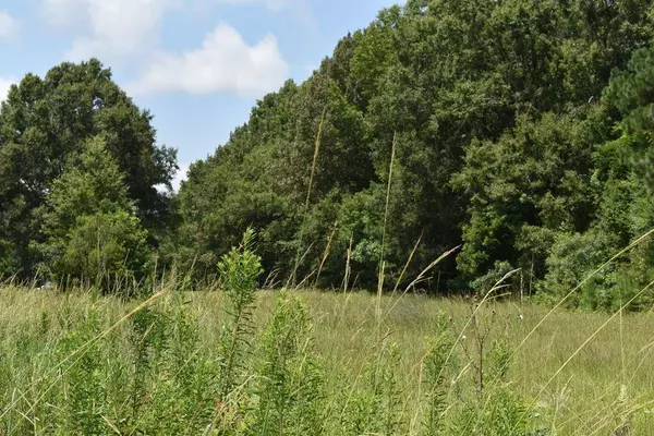 TBD Fishing Place (#94), Summerton, SC 29148