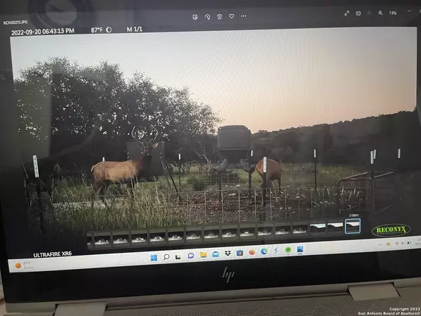 11464 CR310, Rocksprings, TX 78880