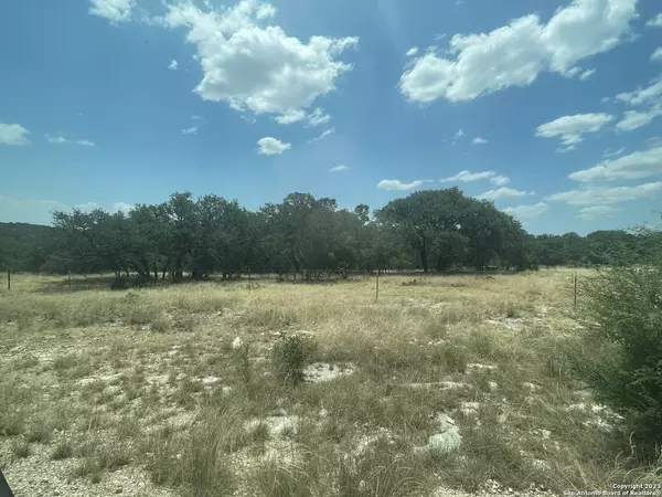 11464 CR310, Rocksprings, TX 78880