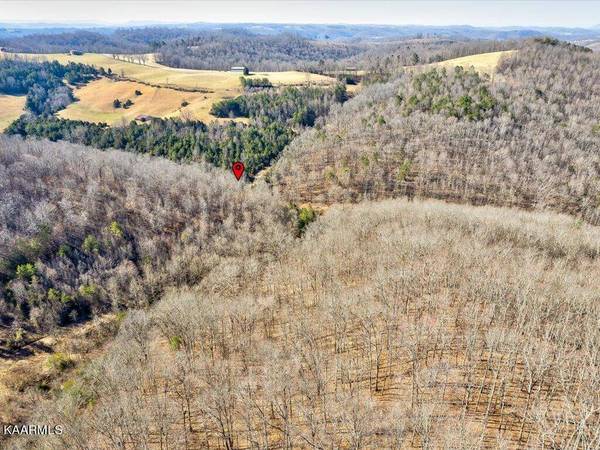 Poplar Grove Rd, Harrogate, TN 37752