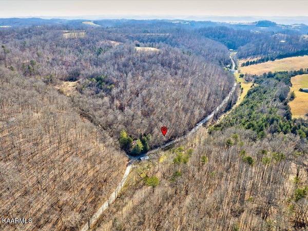 Poplar Grove Rd, Harrogate, TN 37752