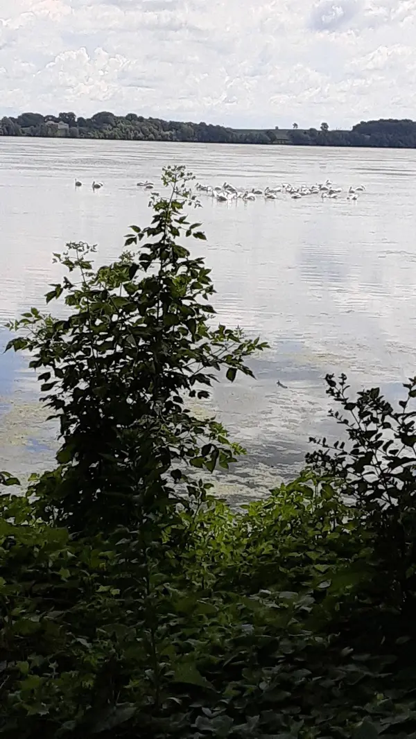 1019 Frank Hall DR, Albert Lea, MN 56007