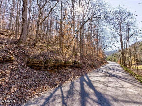 Poplar Grove Rd, Harrogate, TN 37752