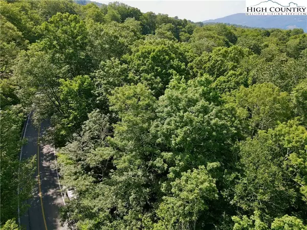 TBD Grouse Moor DR, Sugar Mountain, NC 28604