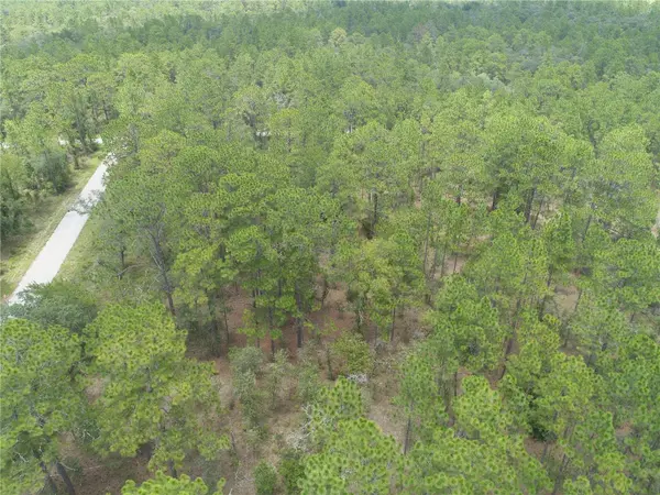 Lot 37 SW WINDING HILLS RD, Dunnellon, FL 34431