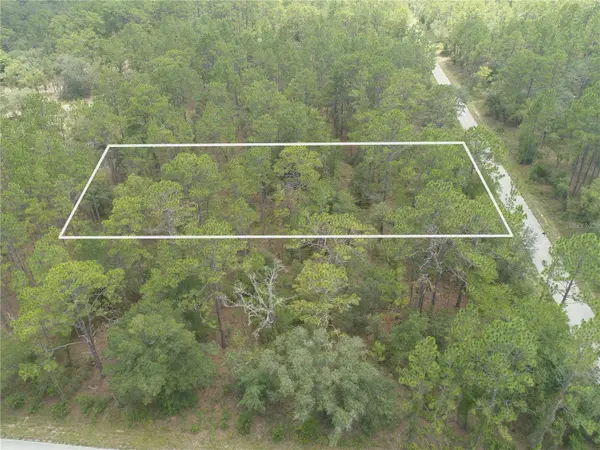 Lot 37 SW WINDING HILLS RD, Dunnellon, FL 34431