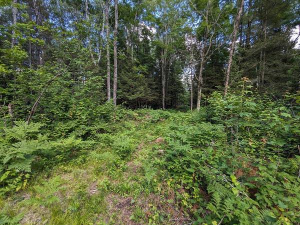 4177 BUCKATABON RD E, Conover, WI 54519