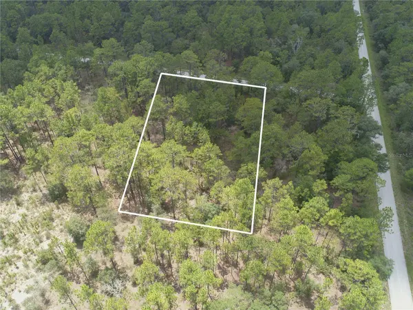 Lot 37 SW WINDING HILLS RD, Dunnellon, FL 34431