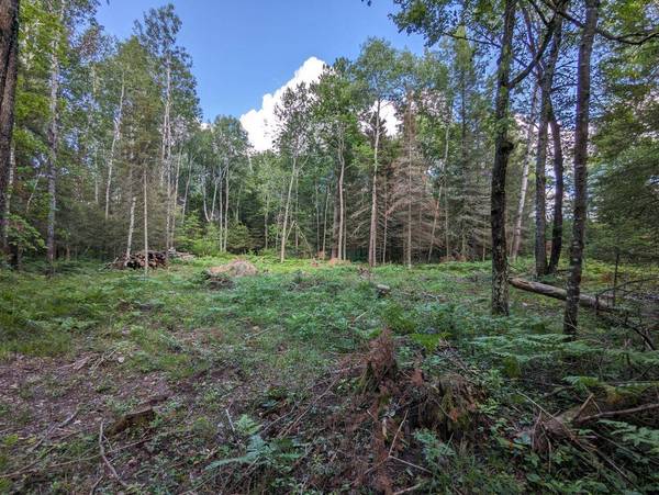 4177 BUCKATABON RD E, Conover, WI 54519