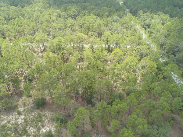 Lot 37 SW WINDING HILLS RD, Dunnellon, FL 34431