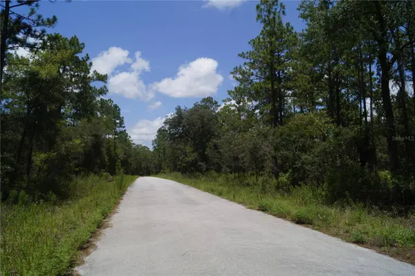 Lot 37 SW WINDING HILLS RD, Dunnellon, FL 34431