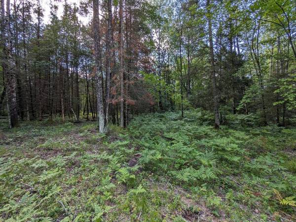 4177 BUCKATABON RD E, Conover, WI 54519