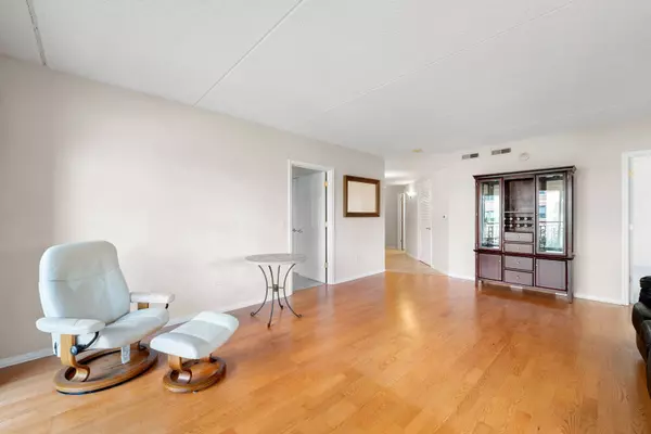 20 S Main Street #3-210, Mount Prospect, IL 60056