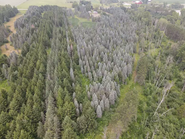 4051 M-55, Tawas City, MI 48763