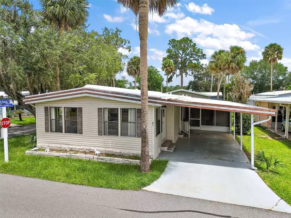 198 PALM MEADOWS DR, Eustis, FL 32726