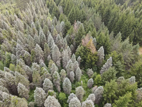 4051 M-55, Tawas City, MI 48763