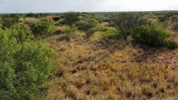 183 Interstate 35, Cotulla, TX 78014