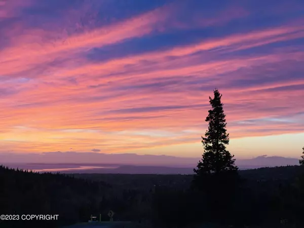 14345 Canyon RD, Anchorage, AK 99516