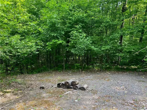 7296 W Hemlock Haven Road, Winter, WI 54896