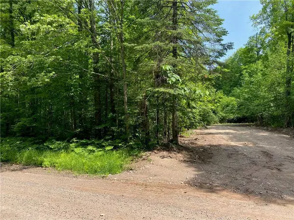 7296 W Hemlock Haven Road, Winter, WI 54896