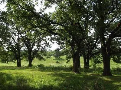 24.091 Acres Valley Road Road, Argyle, WI 53504