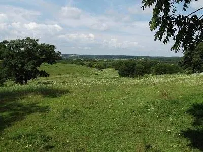 24.091 Acres Valley Road Road, Argyle, WI 53504