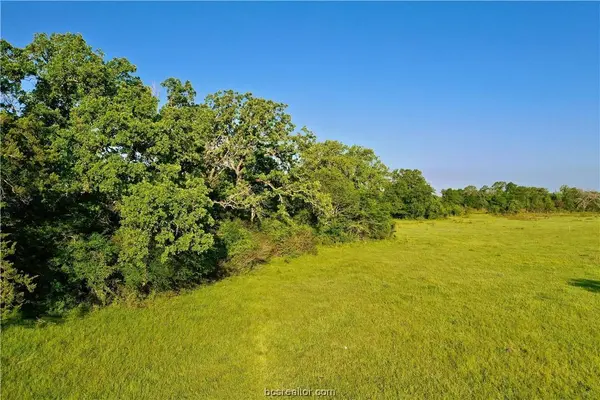 3909 Donaho RD, North Zulch, TX 77872
