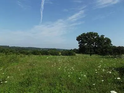 24.091 Acres Valley Road Road, Argyle, WI 53504