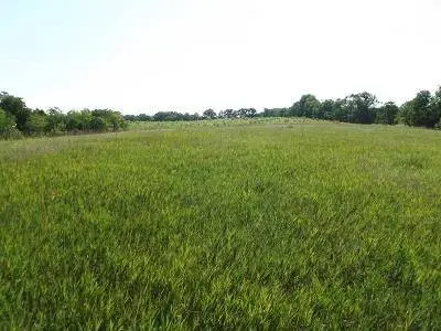 24.091 Acres Valley Road Road, Argyle, WI 53504