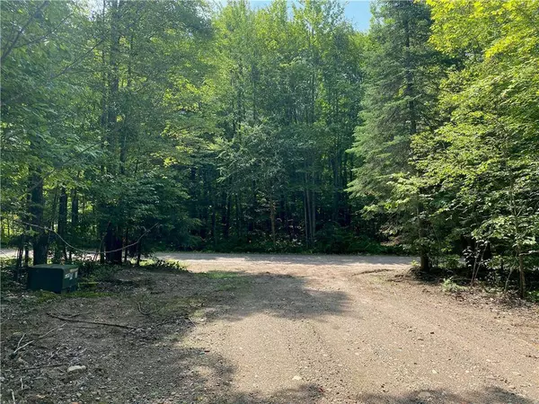 7296 W Hemlock Haven Road, Winter, WI 54896