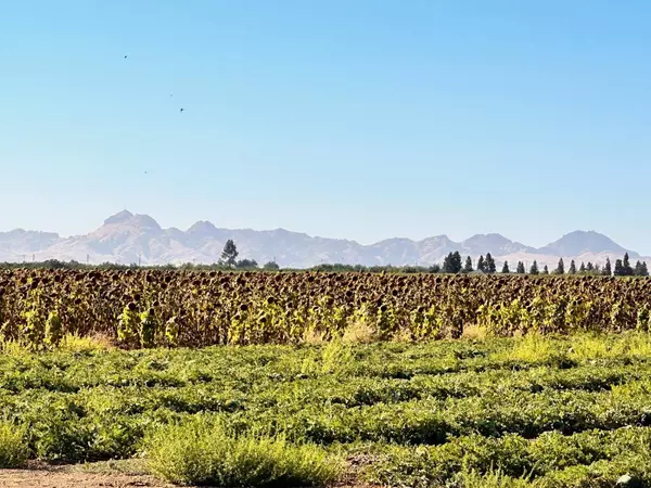 2634 Hutchinson RD, Yuba City, CA 95993