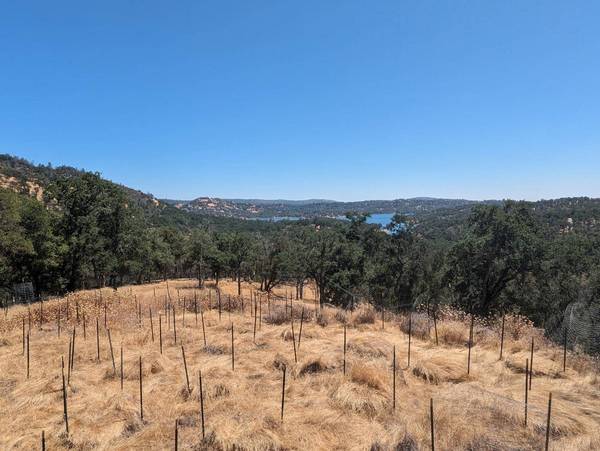 8345 Ascension Ln LN, Pilot Hill, CA 95664