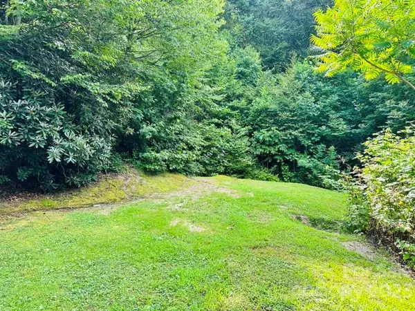 7019 Crabtree RD, Spruce Pine, NC 28777