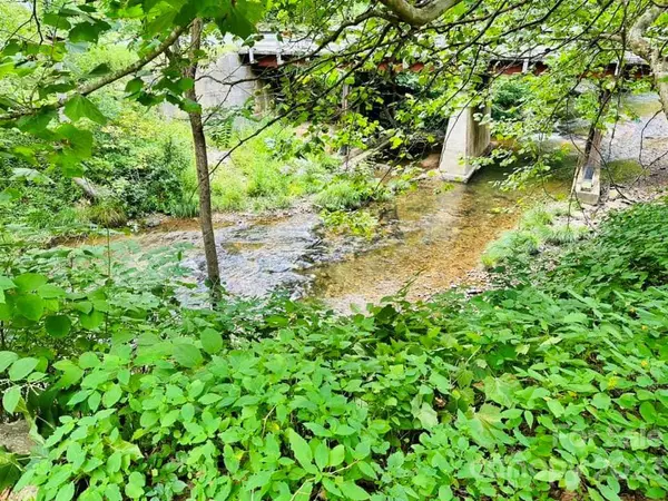 7019 Crabtree RD, Spruce Pine, NC 28777