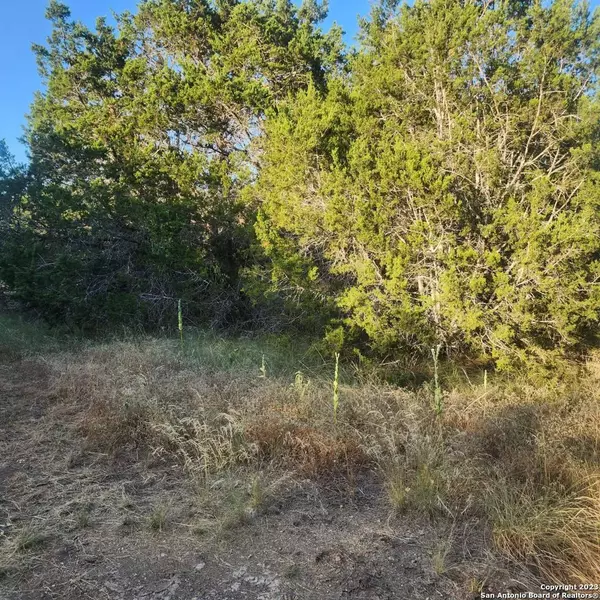 1000 BROAD OAK DR, Bandera, TX 78003