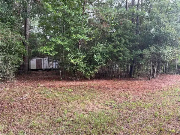 14921 Druid ST, Conroe, TX 77302