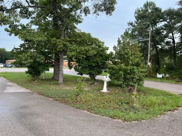 14921 Druid ST, Conroe, TX 77302