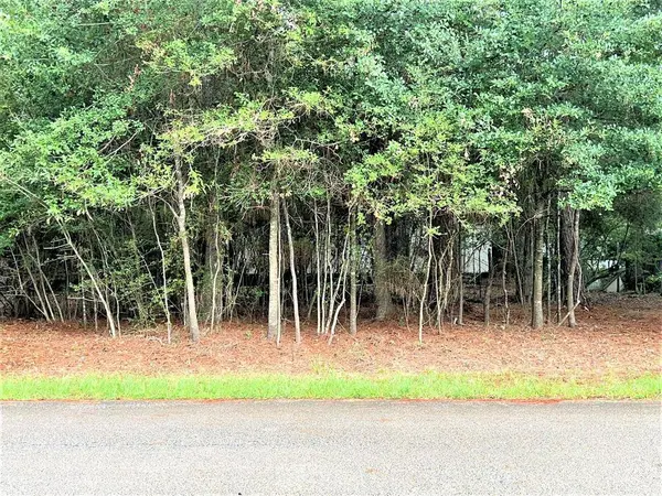 14921 Druid ST, Conroe, TX 77302