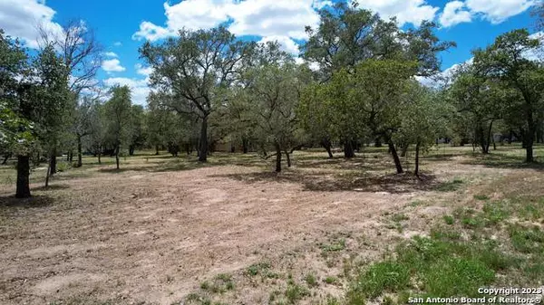 320 INWOOD, Poteet, TX 78065