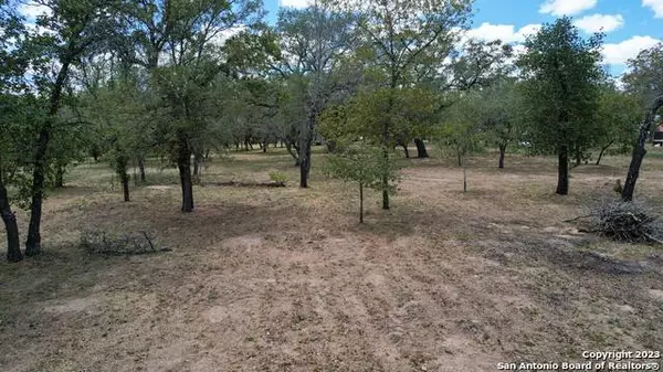 320 INWOOD, Poteet, TX 78065