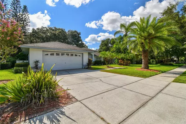 16504 CAYMAN DR, Tampa, FL 33624